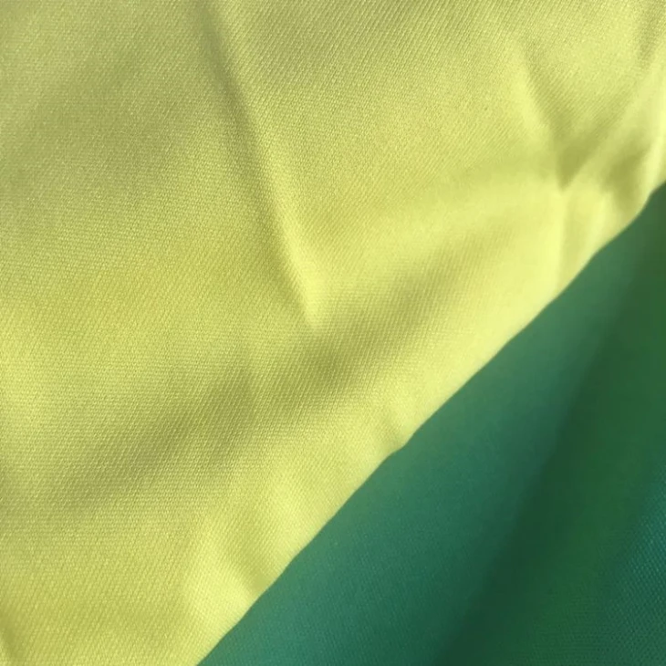100% Polyester Micro Interlock Fabric